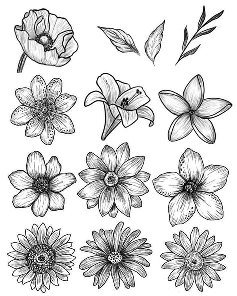 Flowers Drawing Flowers Flower Art Drawing Flower Sketches Pencil