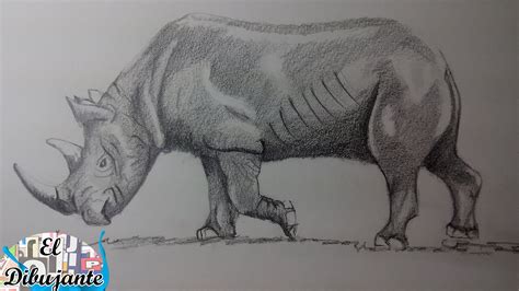 Como Dibujar Un Rinoceronte Paso A Paso El Dibujante Youtube