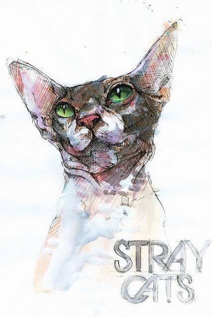Stray Cats Cat Art Cats Illustration Animal Drawings