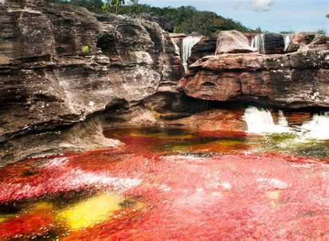 How To Get To Cano Cristales The Rainbow River Of Colombia