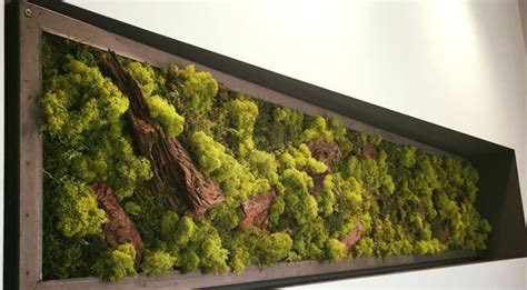 How do you attach moss to craft foam? Moss Walls - Succulence