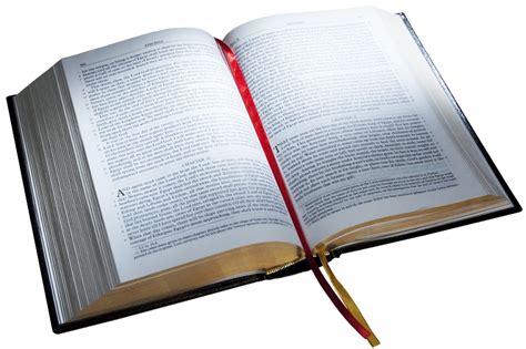 Collection of Bible Book PNG. | PlusPNG png image