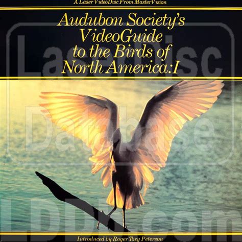 Laserdisc Database Audubon Societys Videoguide To The Birds Of North