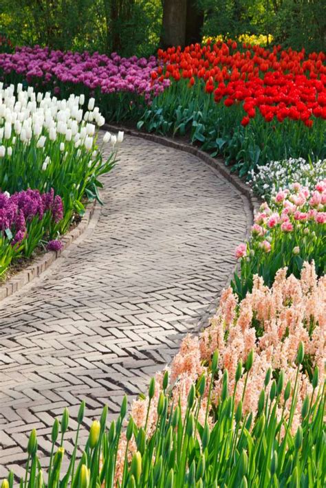 We did not find results for: March garden tasks for flowers, vegetables, lawn, shrubs ...