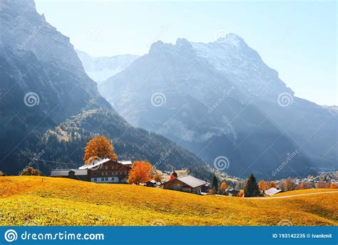 Picturesque Autumn Landscape In Grindelwald Village Stock Image Image