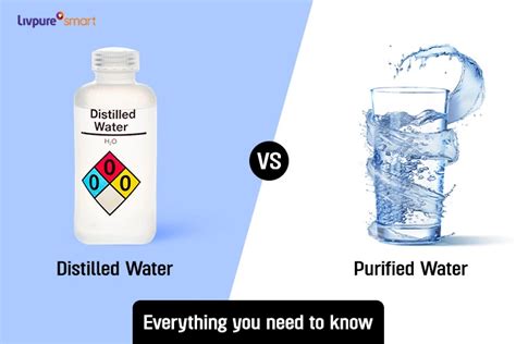 Distilled And Purified Water Everything You Need To Know