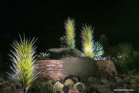 Night And Day At Desert Botanical Gardens Phoenix Az
