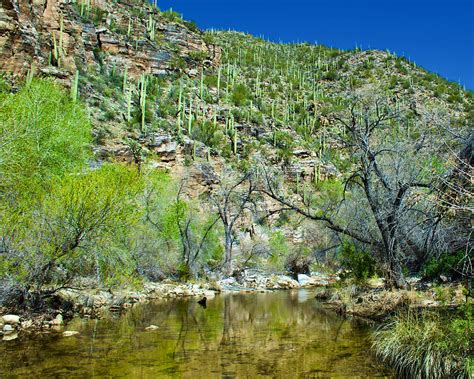Creek In Sabino Canyon In Coronado National Forest In Tucson Arizona