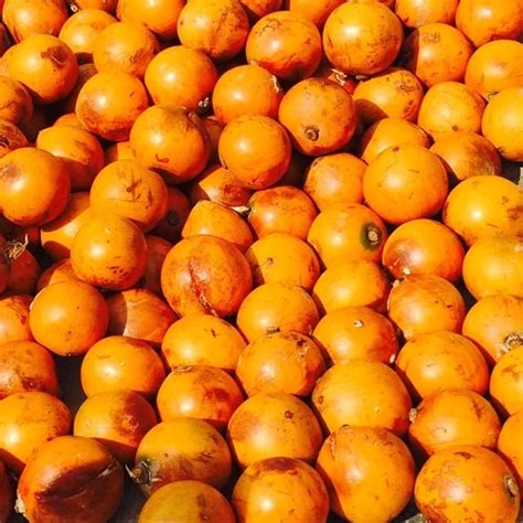 Check Health Benefits For ‘alasa Fruit African Star Apple