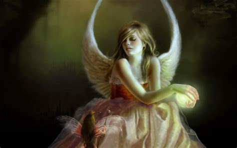 Fairies And Pixies Wallpapers 4k Hd Fairies And Pixies Backgrounds
