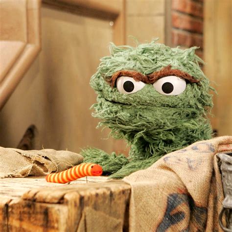 Categorygrouch Culture Muppet Wiki Fandom Powered By Wikia