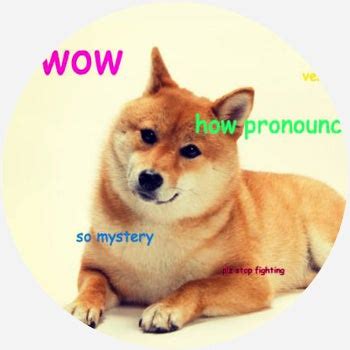 (which is why you will see 1 doge = 1 doge used frequently). doge - Memes by Dictionary.com