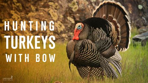 Hunting Turkeys With A Bow You Must See For The Tips And Tricks Youtube