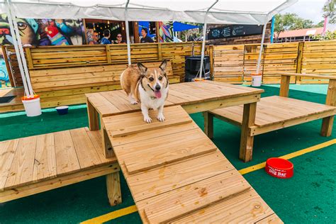 Petersburg has addressed russia's parliament with a request to introduce stronger punishment for public approval of pedophilia. The Dog Bar in St. Petersburg - My New Favorite Place ...