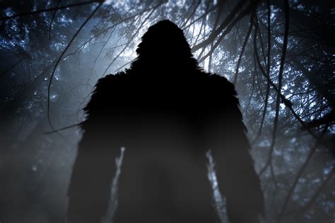 Stalked Through The Woods By A Texas Bigfoot Do You Believe The Story