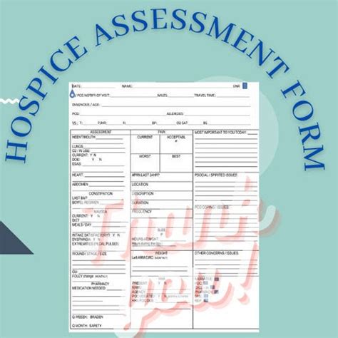 Hospice Assessment Form Etsy