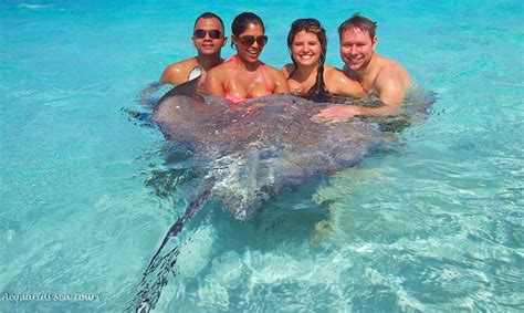 Stingray City And Snorkel Excursions In Grand Cayman February 2015