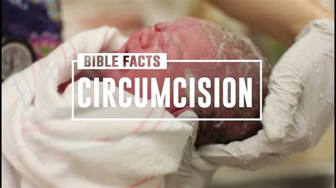 Bible Fact Circumcision On The 8th Day Of Life Was Stated Before The