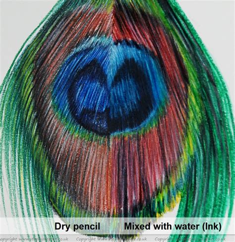 Derwent Inktense Pencils An Artist S Personal Review STEP BY STEP