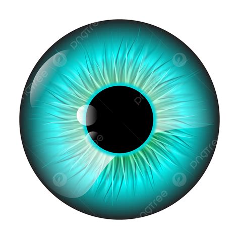 Eye Iris Vector Hd Png Images Blue Iris Eye Blue Eye Iris Pupil Png