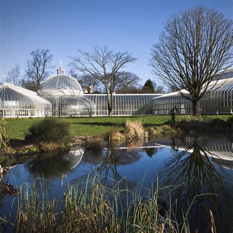 Glasgow Botanic Gardens Lo Que Se Debe Saber Antes De Viajar