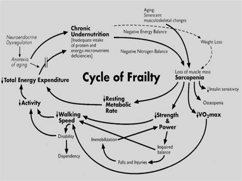 Frailty In HIV Care And The Importance Of Lifestyle Changes HTB HIV I Base