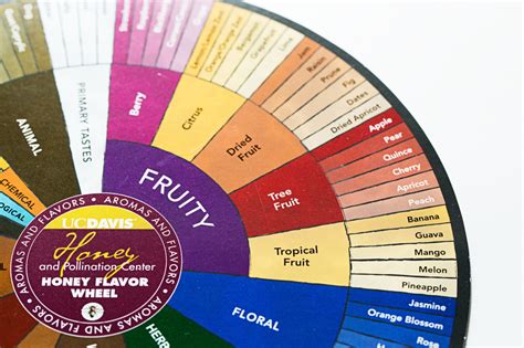 One Mans Quest To Reinvent The Wheel — The Flavor Wheel That Is
