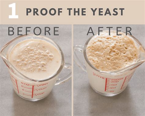 Proof Yeast
