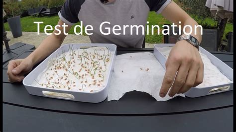 Parlons Agronomie 2 Test De Germination Sur Semence De Blé Youtube