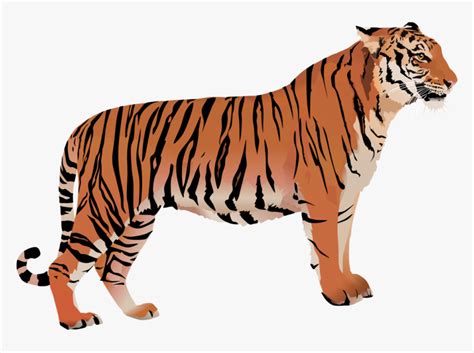Malayan Tiger Cartoon