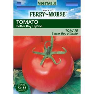 Top picks related reviews newsletter. Ferry-Morse Tomato Better Boy Hybrid Seed-2509 - The Home ...