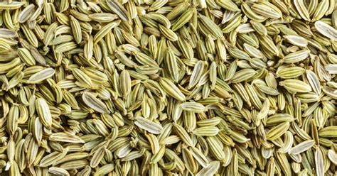 Trim stalks from fennel bulbs, and remove any tough outer bulb layers. Pros & Cons of Fennel Seeds | LIVESTRONG.COM