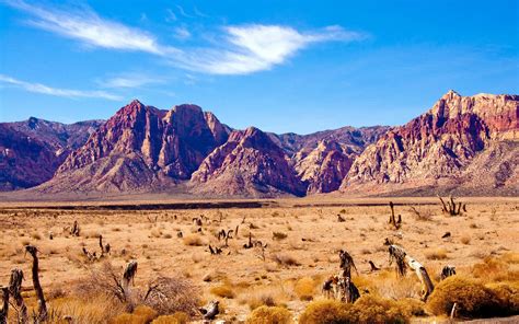 Mojave Desert Wallpapers Top Free Mojave Desert Backgrounds