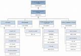 Software Development Company Organizational Chart Images