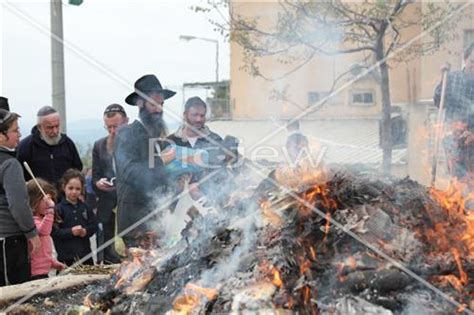 השנה יבער את החמץ על ידי השלכה לאשפה וישפוך על זה אקונומיקה כדי לבטלו מאכילת כלב. תמונה של שריפת חמץ, מאגר תמונות,איורים, ציורים, | picjew