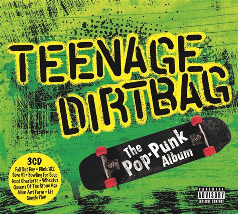 Teenage Dirtbag The Pop Punk Album The Rock Box Record Store