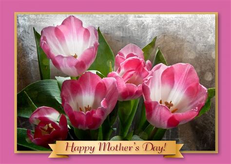Lm 7020 Happy Mothers Day Card Pink Tulips Art Photo Web Studio