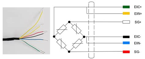 6 Wire Load Cell Wiring Diagram Liliassurbani