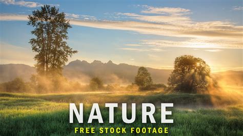 Free Stock Footage The 3 Best Completely Free Stock Footage Sites