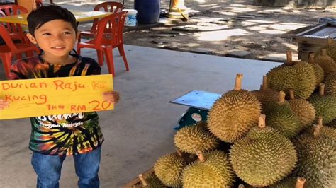 1.3 χλμ από kampong alor gajah. Makan Makan Durian Bersama Keluarga Zamedin di Alor Gajah ...