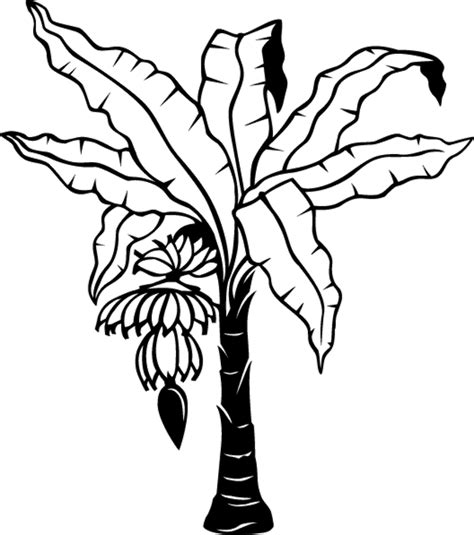 Download High Quality Tree clipart banana Transparent PNG Images - Art