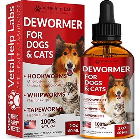 The Best Cat Dewormers 2021 Review