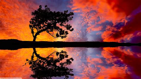Nature Reflection Clouds Trees Wallpapers Hd Desktop And Mobile