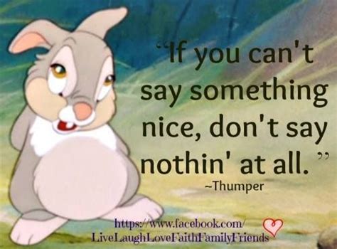 An Image Of A Rabbit Saying If You Cant Say Something Nice Dont Say