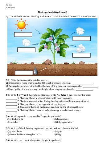 This Worksheet Contains Basic Conceptual Questions About The