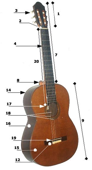 Conoce Las Partes De La Guitarra Y Su Función Educaguitarra