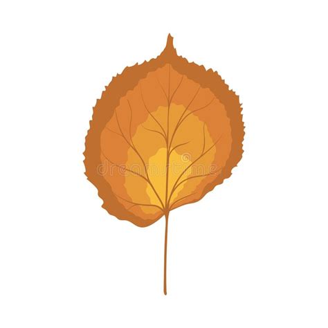 Autumn Linden Leaf Stock Vector Illustration Of Bright 258647635