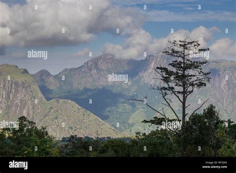 Mulanje Mountain Forest Reserve Malawi Hi Res Stock Photography And