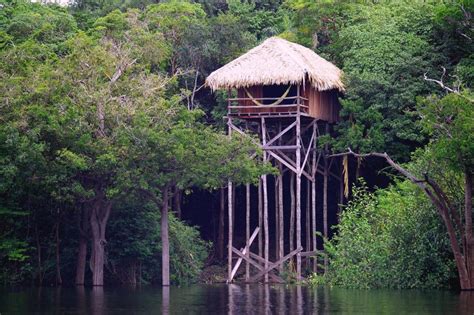 Jungle Hotel In The Amazon Rainforest How To Choose Your