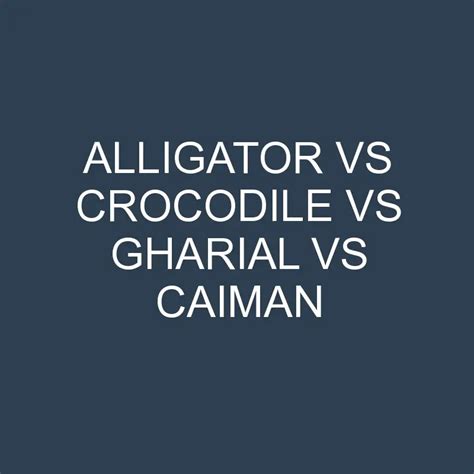Alligator Vs Crocodile Vs Gharial Vs Caiman Differencess